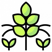 LLC Tas Agro Zakhid