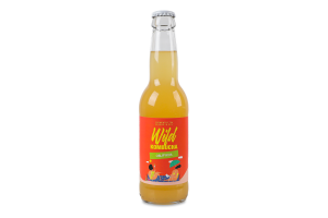 Wild Kombucha Sea Buckthorn Glass 330ml