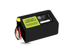 Rechargeable battery 8s5p 22500 mAh