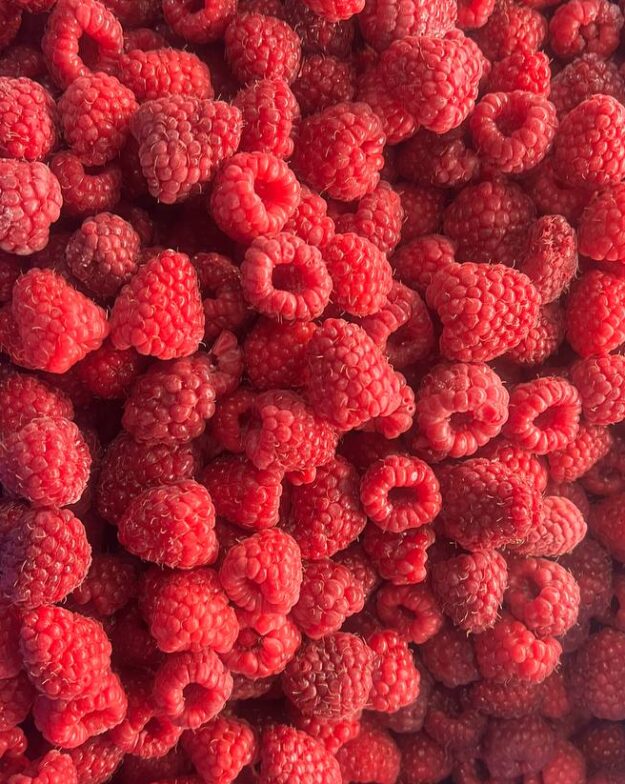 IQF Raspberry Whole