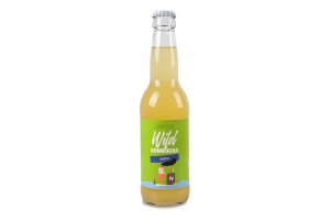 Wild Kombucha Ginger Glass 330ml