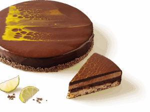 Sweet & Sour Chocolate Cake